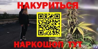 Альфа ПВП Новозыбков