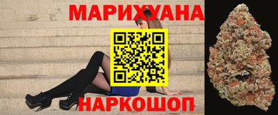 Альфа ПВП Новозыбков