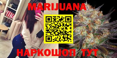 гашик Новокубанск