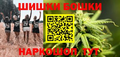 гашик Новокубанск