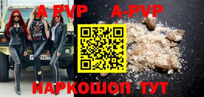 гашик Новокубанск