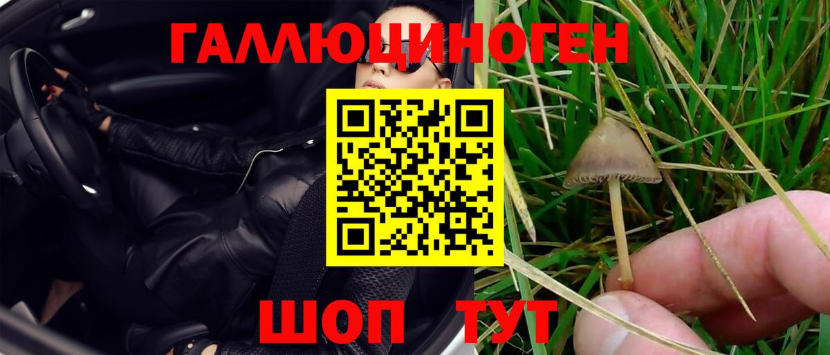 Южноуральск  Псилоцибиновые грибы мухоморы  Вход с VPN 